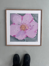 Indlæs billede til gallerivisning SWEET BLOSSOM - 50 x 50 cm